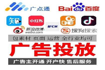 某某SEM团队成功案例：广告投放策略揭秘